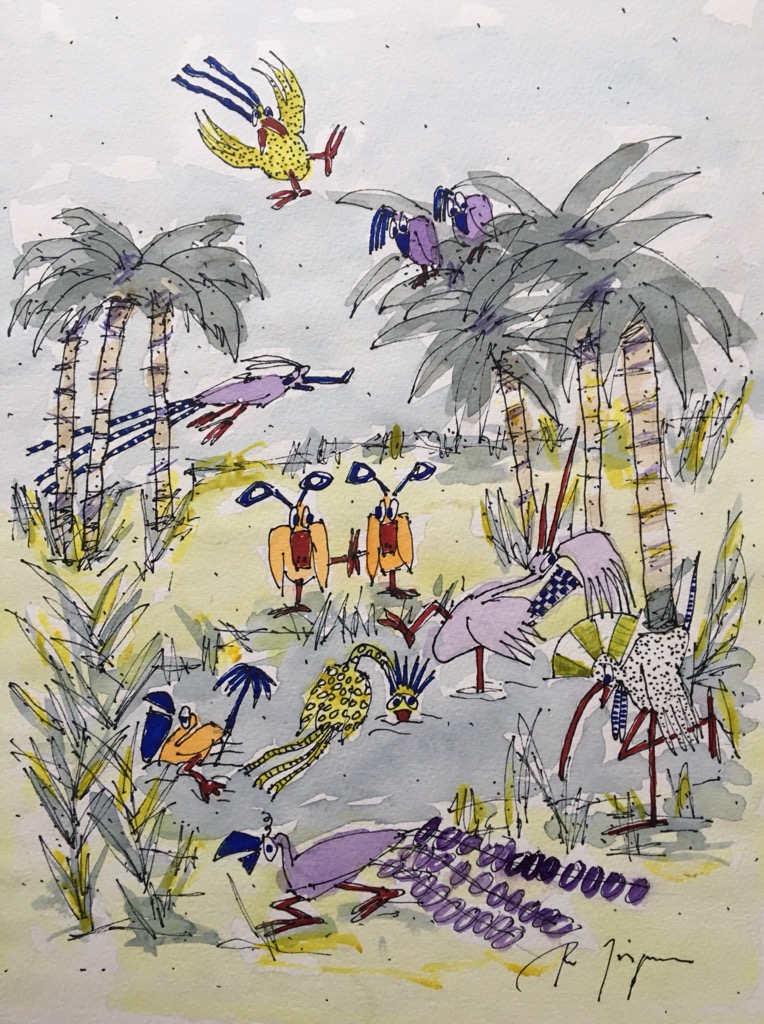 50x40 cm