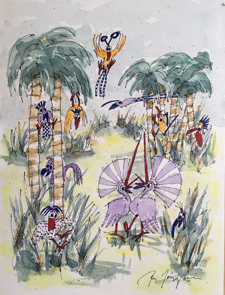 50x40 cm