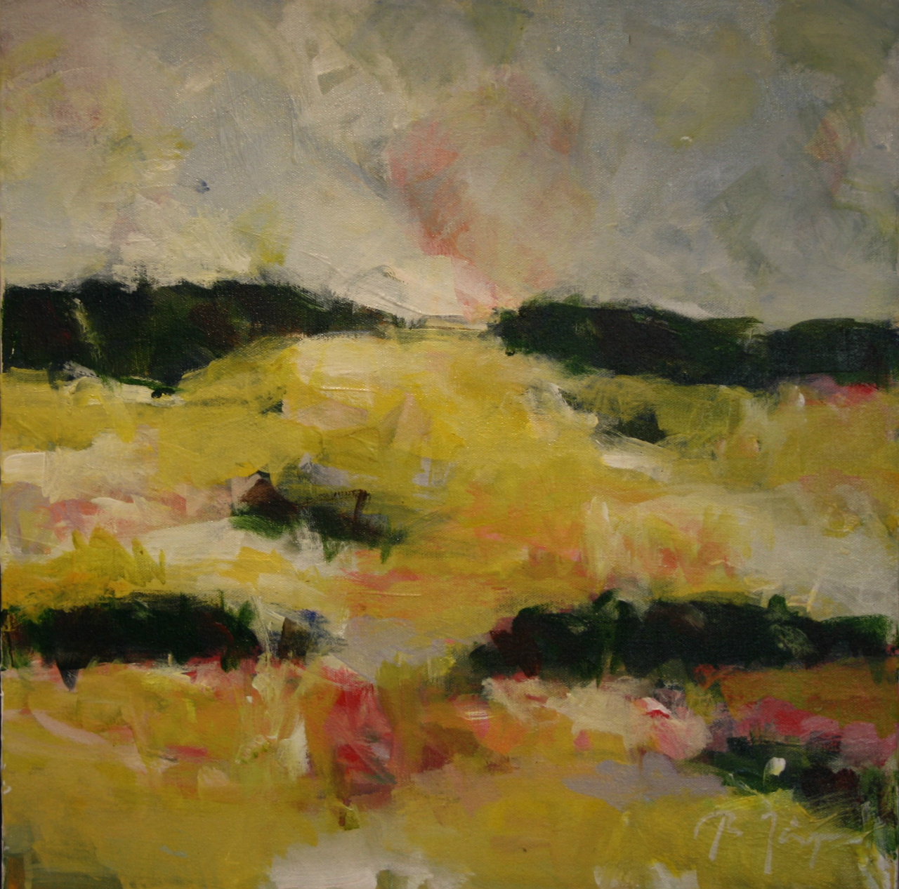 40x40 cm